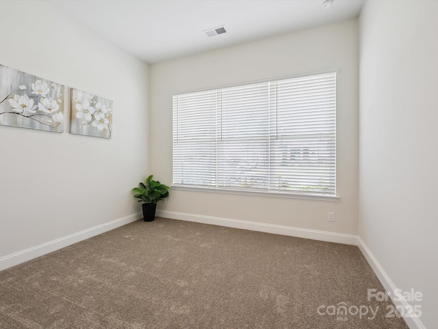 1131 Meander Ln, Waxhaw, NC 28173 - photo 19