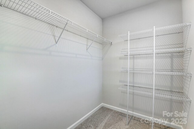 8042 Downy Oak Ln, Charlotte, NC 28269 - spacious closet with carpet