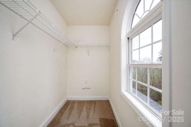 51 Sugar Hill Dr, Weaverville, NC 28787 - walk in closet with carpet floors