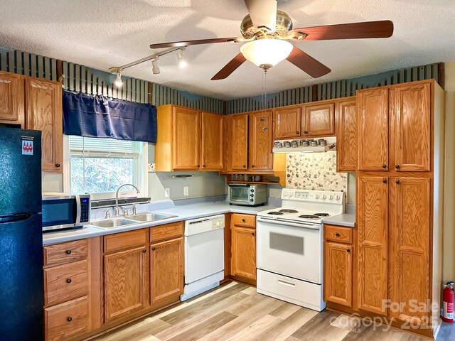 kitchen with exhaust hood, white appliances, light wood-style flooring, a textured ceiling, and a sink