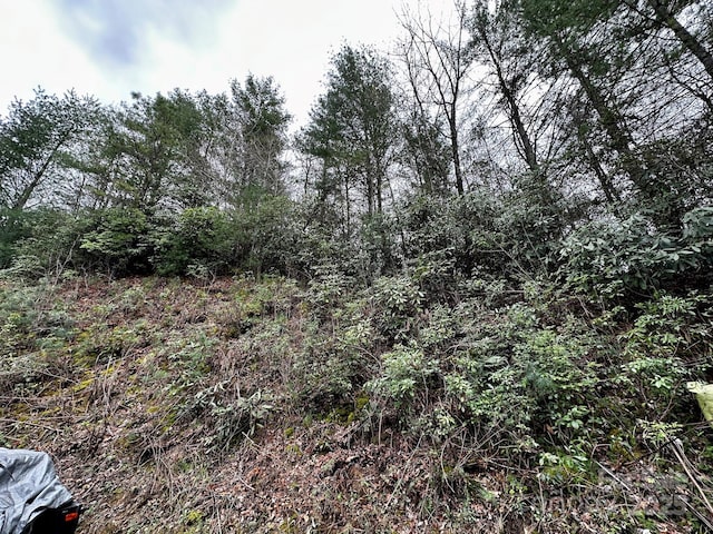 view of local wilderness