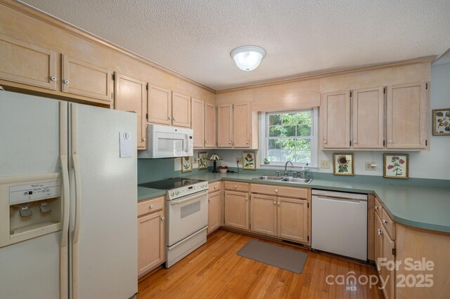 107 Southfork Dr, Belmont, NC 28012 - photo 15
