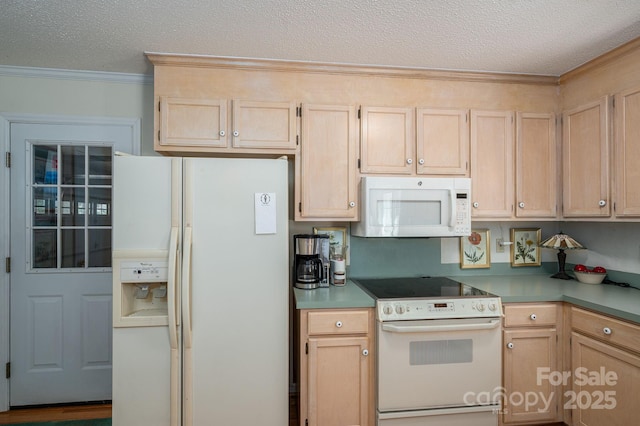 107 Southfork Dr, Belmont, NC 28012 - photo 16