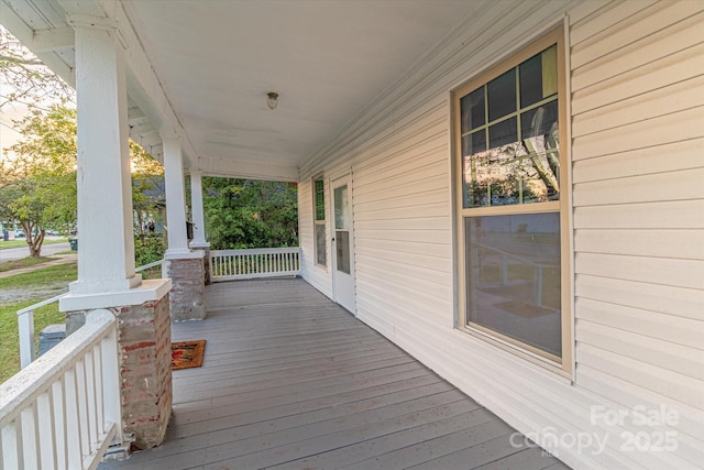 319 Chestnut St, Rock Hill, SC 29730 - photo 10