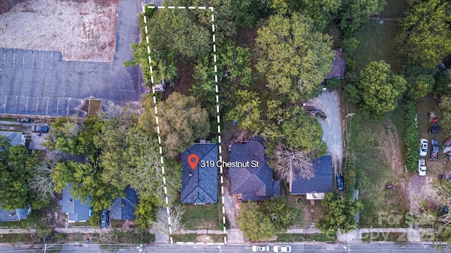 319 Chestnut St, Rock Hill, SC 29730 - photo 39