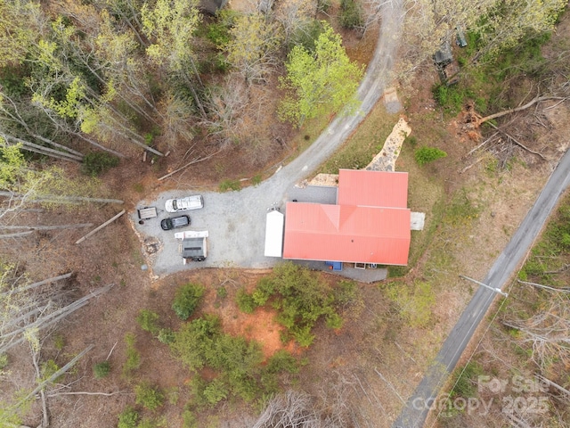 bird's eye view