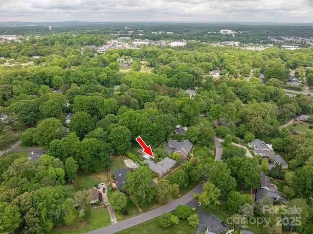 bird's eye view
