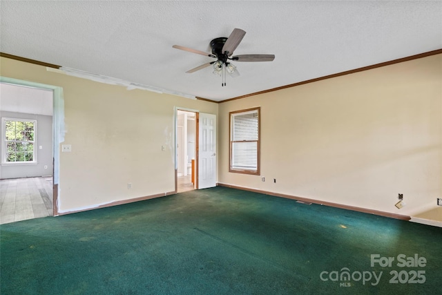 spare room with crown molding, a ceiling fan, carpet, and a textured ceiling