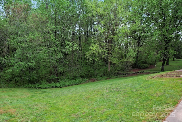 view of yard featuring a wooded view