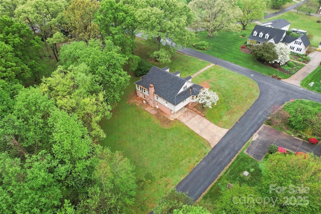bird's eye view