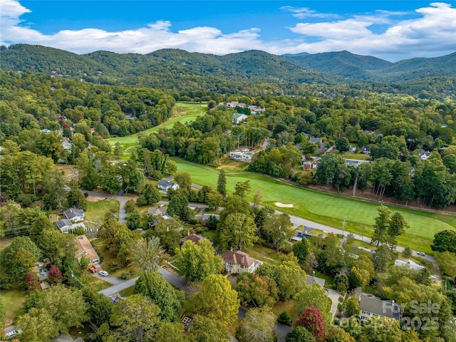 8 N Kensington Rd, Asheville, NC 28804 - photo 5