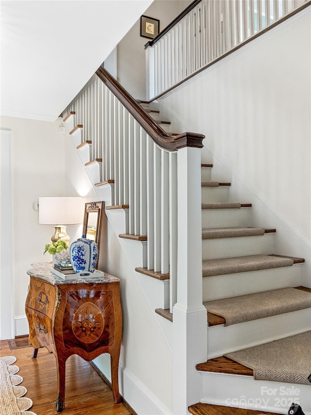 8 N Kensington Rd, Asheville, NC 28804 - photo 29