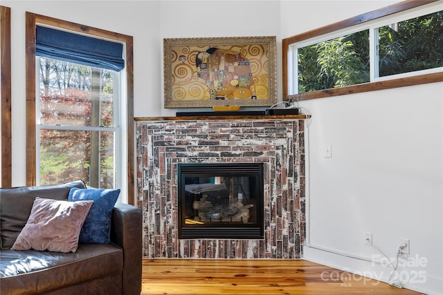 interior details featuring wood finished floors and a fireplace