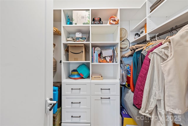 view of walk in closet