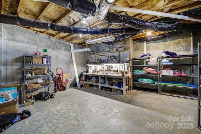 141 Forsythia Ln, Tega Cay, SC 29708 - view of storage room