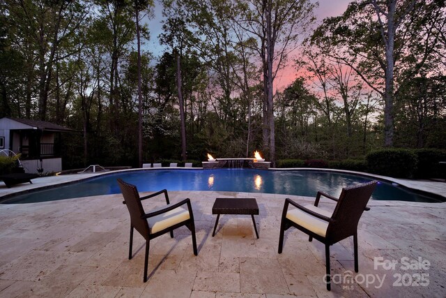 141 Forsythia Ln, Tega Cay, SC 29708 - pool featuring a patio