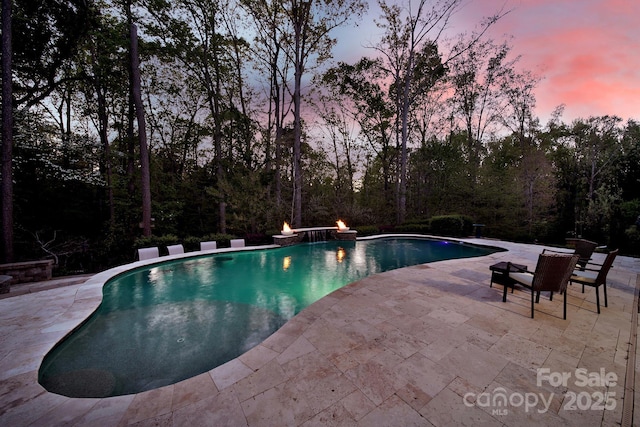141 Forsythia Ln, Tega Cay, SC 29708 - pool at dusk with a patio and an outdoor pool