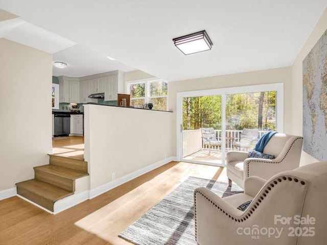 4075 Little River Rd, Hendersonville, NC 28739 - living area featuring light wood-type flooring and baseboards