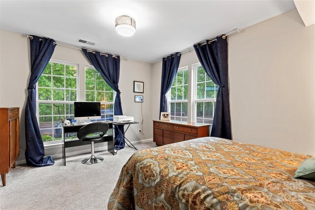 12905 Bullock Greenway Blvd, Charlotte, NC 28277 - bedroom featuring carpet flooring, baseboards, and visible vents