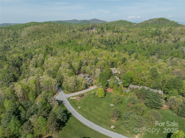29 Wild Deer Trl, Zirconia, NC 28790 - view of property location featuring a forest and a mountainous background