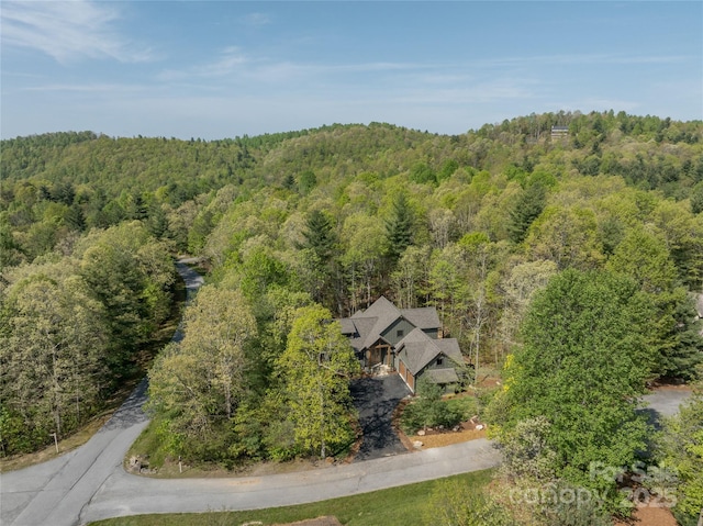 29 Wild Deer Trl, Zirconia, NC 28790 - photo 32