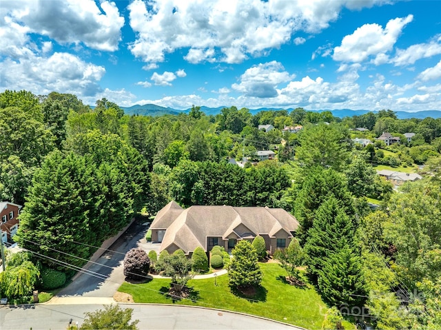 5 Reynolds Pl, Asheville, NC 28804 - photo 44