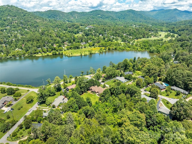 5 Reynolds Pl, Asheville, NC 28804 - photo 45
