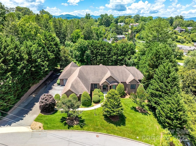 5 Reynolds Pl, Asheville, NC 28804 - photo 5