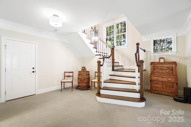 1404 Churchill Downs Dr, Waxhaw, NC 28173 - staircase featuring carpet flooring, baseboards, ornamental molding, and a wealth of natural light