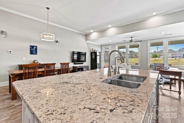 8718 Festival Way, Charlotte, NC 28215 - kitchen with a sink, ornamental molding, light wood-type flooring, and light stone countertops