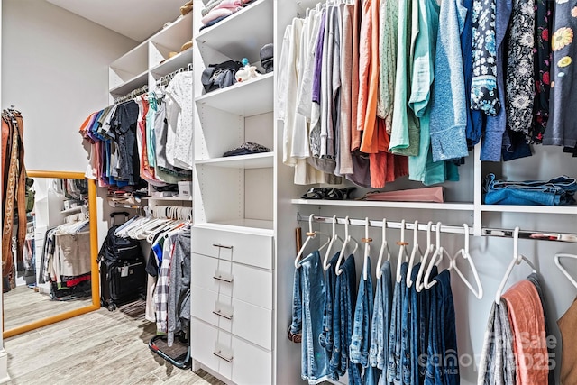 8718 Festival Way, Charlotte, NC 28215 - walk in closet with wood finished floors
