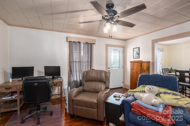 office featuring dark wood-style flooring, ceiling fan, and ornamental molding