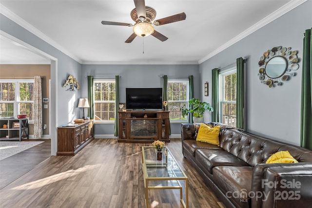 1294 Saylor Way, Nebo, NC 28761 - living room with plenty of natural light, ornamental molding, and wood finished floors