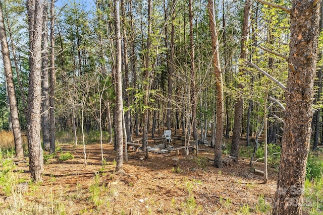 1294 Saylor Way, Nebo, NC 28761 - view of local wilderness with a view of trees