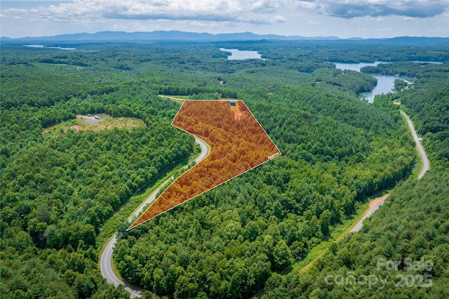 1294 Saylor Way, Nebo, NC 28761 - drone / aerial view with a forest view and a water and mountain view