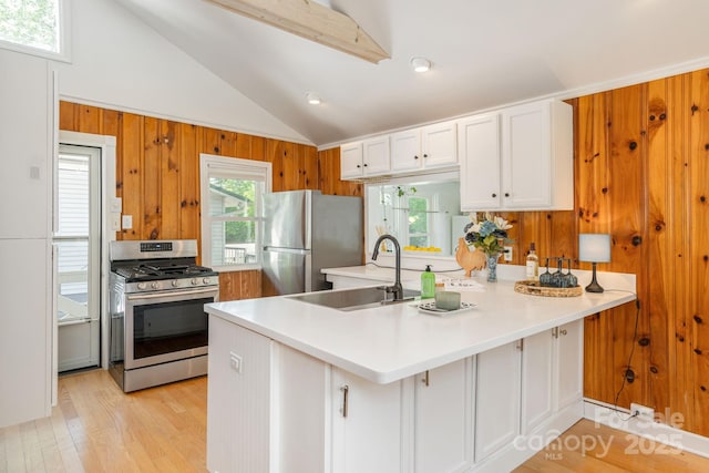 386 Charlotte Dr, Lake Lure, NC 28746 - kitchen featuring appliances with stainless steel finishes, a sink, light countertops, a peninsula, and light wood-type flooring