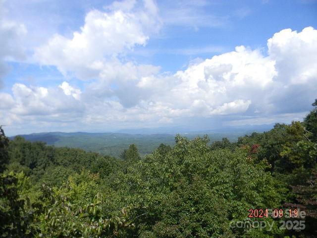 7866 Pinnacle Mountain Rd Unit 3 & 4, Zirconia, NC 28790