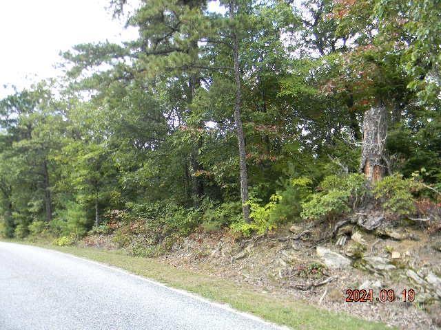 7866 Pinnacle Mountain Rd Unit 3 & 4, Zirconia, NC 28790