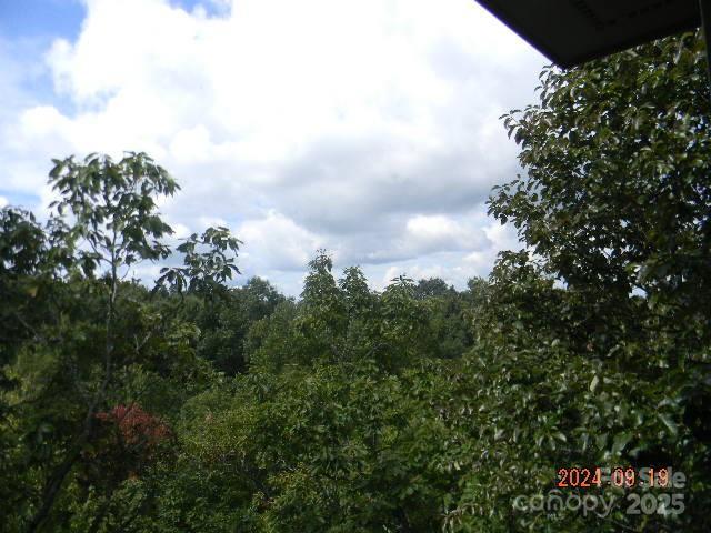 7866 Pinnacle Mountain Rd Unit 3 & 4, Zirconia, NC 28790