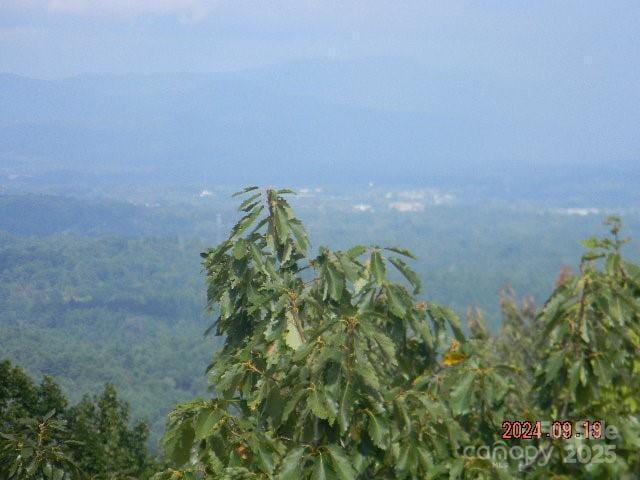 7866 Pinnacle Mountain Rd Unit 3 & 4, Zirconia, NC 28790