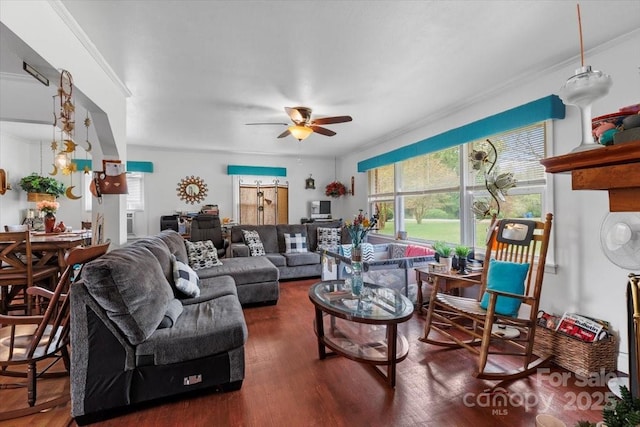living room featuring a ceiling fan and wood finished floors
