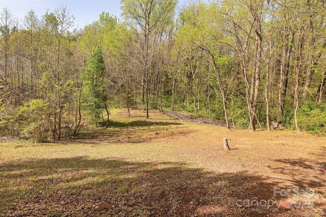 5127 Fernhill Dr, Charlotte, NC 28217 - view of yard with a wooded view