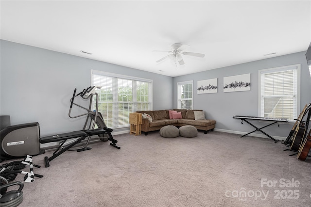 17309 Knoxwood Dr, Huntersville, NC 28078 - photo 35