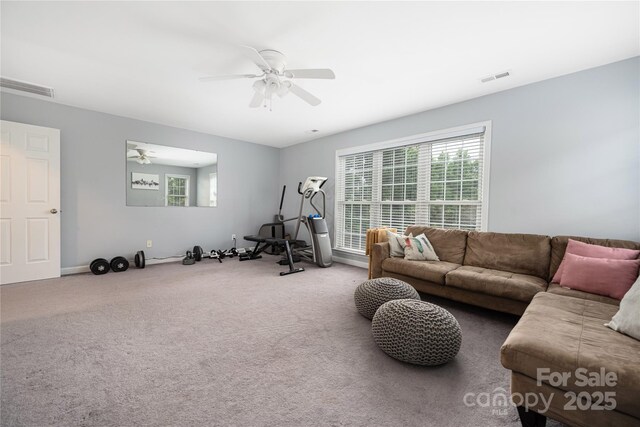 17309 Knoxwood Dr, Huntersville, NC 28078 - photo 36