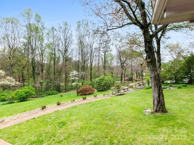 view of yard