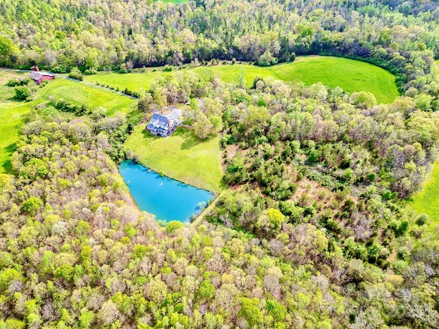 1151 Trull Hinson Rd, Wingate, NC 28174 - bird's eye view of a nearby body of water and a forest