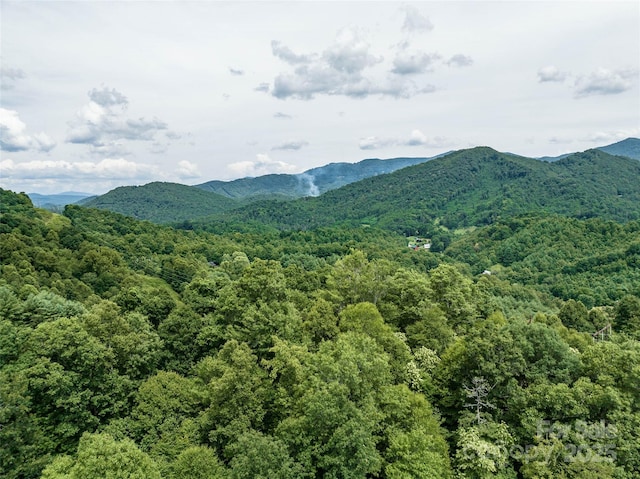 0 Mcpeters Ln, Burnsville, NC 28714