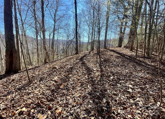 0 Mcpeters Ln, Burnsville, NC 28714