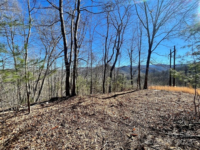 0 Mcpeters Ln, Burnsville, NC 28714