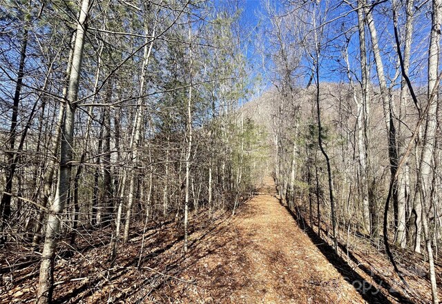 0 Mcpeters Ln, Burnsville, NC 28714